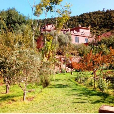Готель Ourika Timalizene Le Jardin Des Delices Tamezindert Екстер'єр фото