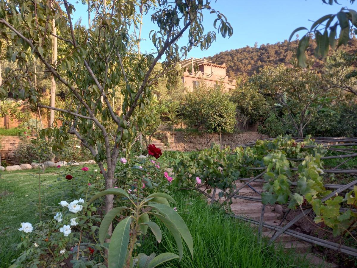 Готель Ourika Timalizene Le Jardin Des Delices Tamezindert Екстер'єр фото