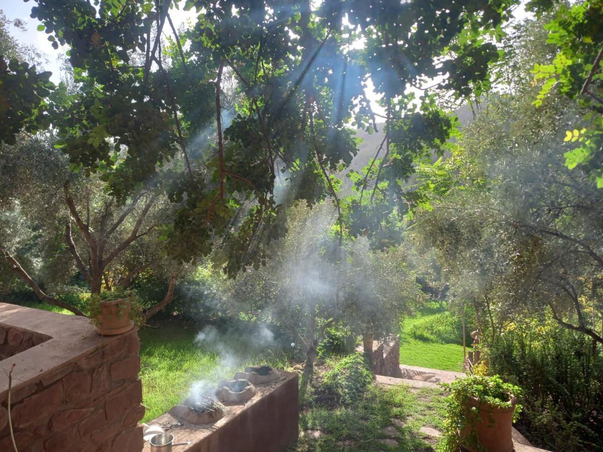 Готель Ourika Timalizene Le Jardin Des Delices Tamezindert Екстер'єр фото